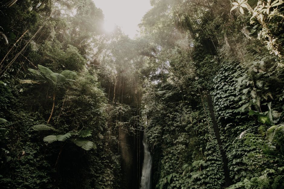 Voyage Bali 2026 : itinéraire secret 10 jours hors des