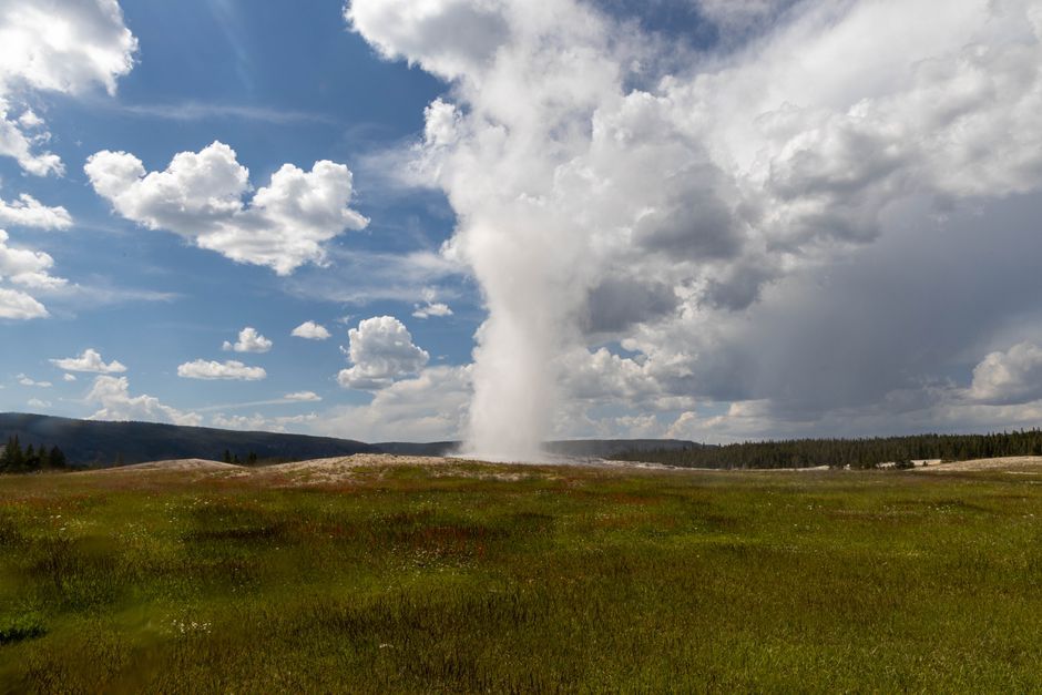 Voyage Yellowstone : geysers, faune et bons plans 2026